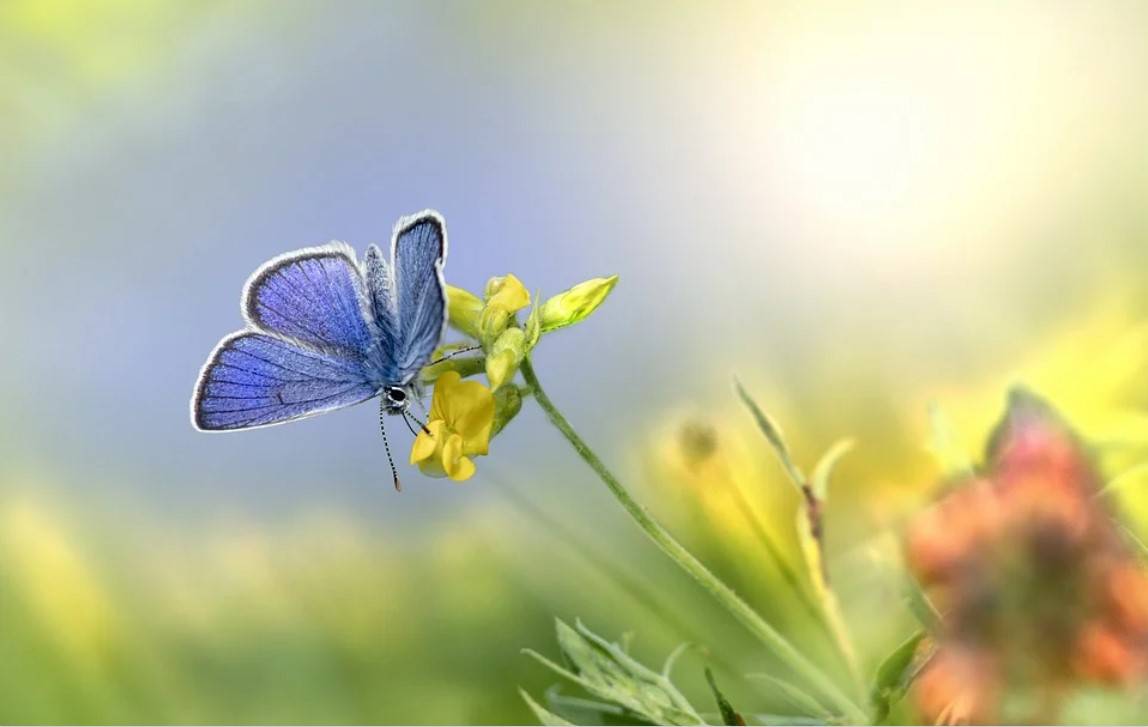 Quelle: pixabay.com